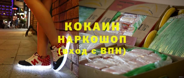 трава Бородино